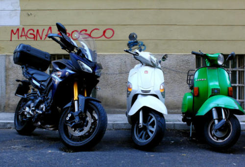 05 magnabosco tricolore